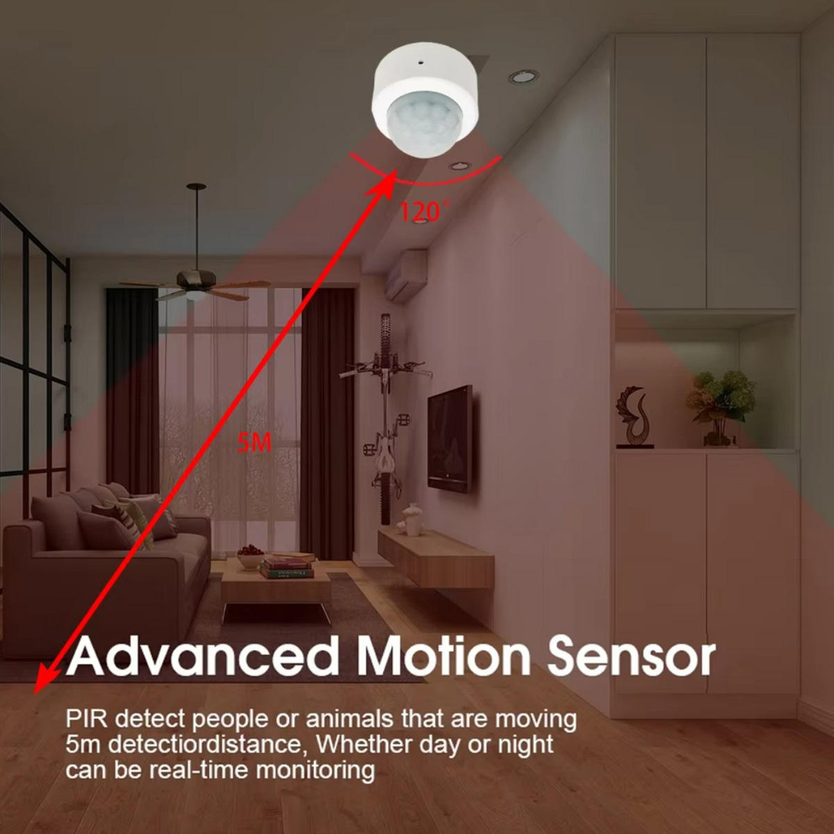 Zigbee PIR-Bewegungssensor, In – Home Security Business Bewertung und Preis