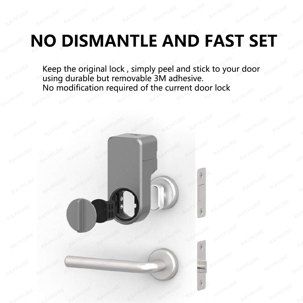 RAYKUBE A1 Pro Tuya BEL Smart  – Door Lock Smart Keypad Bewertung und Preis