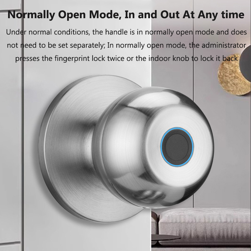 Tuya Türschloss Smart-Fingerpr – Door Lock Smart Keypad Bewertung und Preis