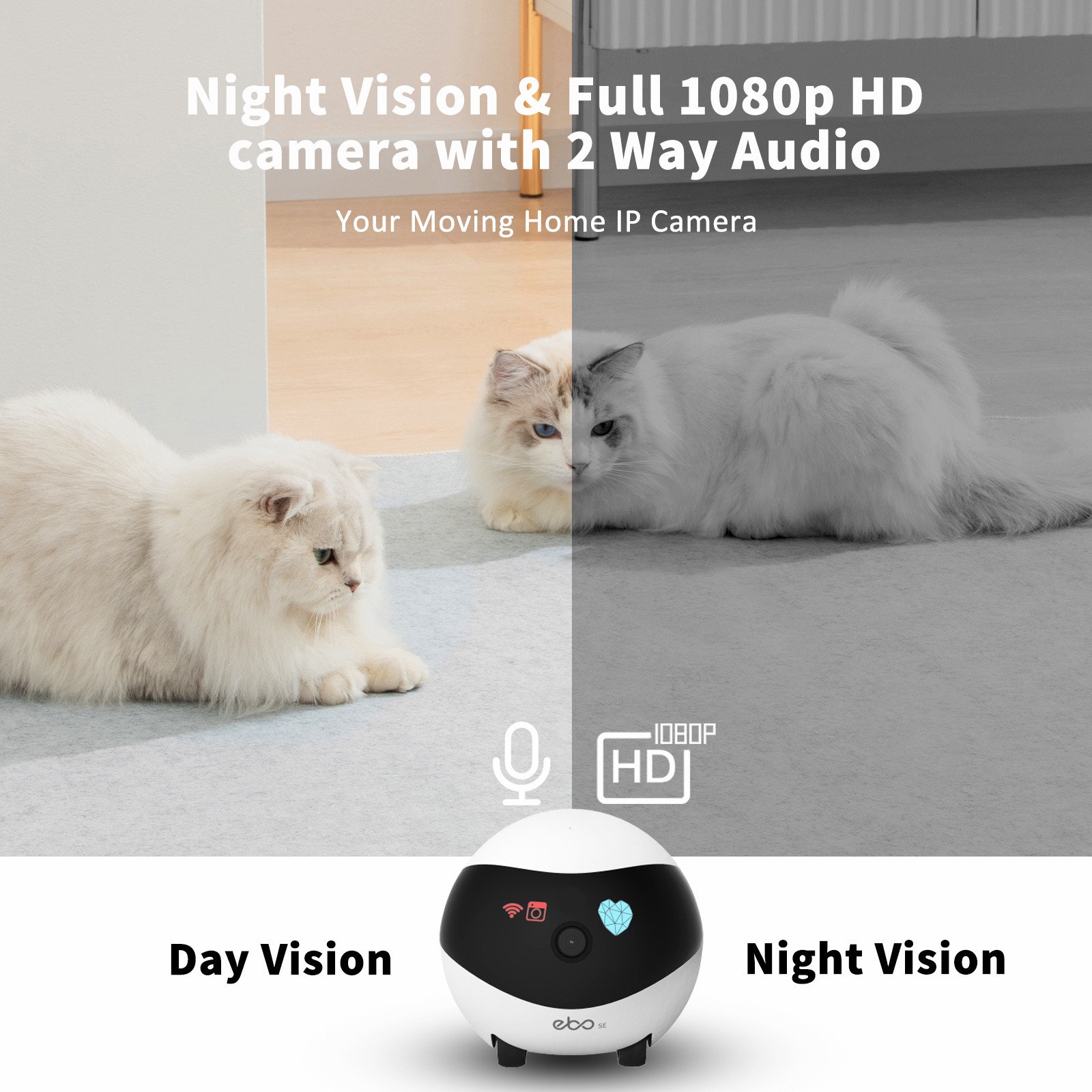 EBO SE Smart Home Robot Compan – Home Security Robot Bewertung und Preis