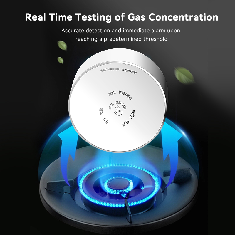 Meian Zigbee Gas Detektor Tuya – Home Security Business Bewertung und Preis