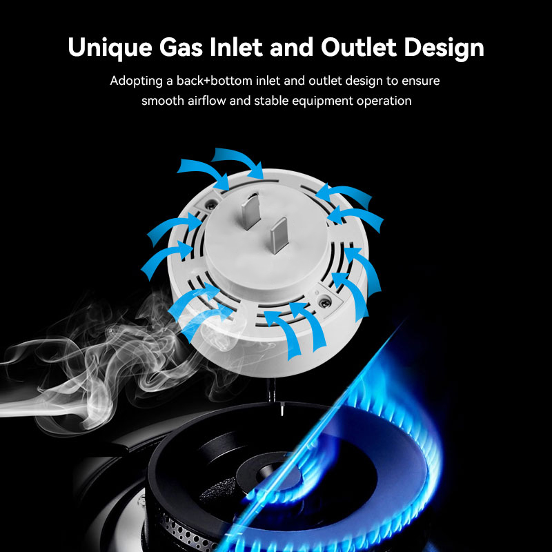 Meian Zigbee Gas Detektor Tuya – Home Security Business Bewertung und Preis