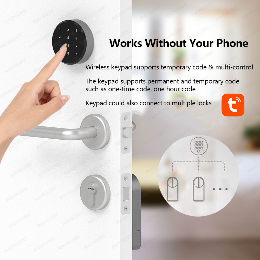 RAYKUBE A1 Pro Tuya BEL Smart  – Door Lock Smart Keypad Bewertung und Preis