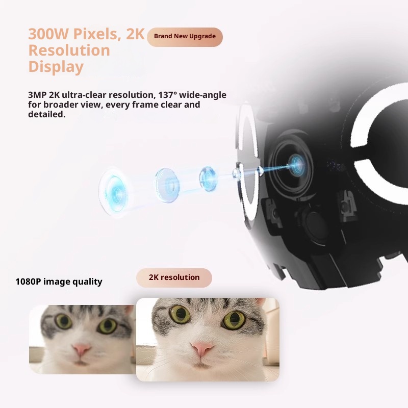 Enabot ROLA Mini Smart Robot I – Home Security Wireless Cameras Bewertung und Preis