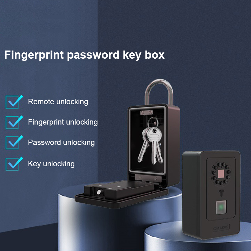 Intelligentes Vorhängeschloss  – Home Security Key Bewertung und Preis