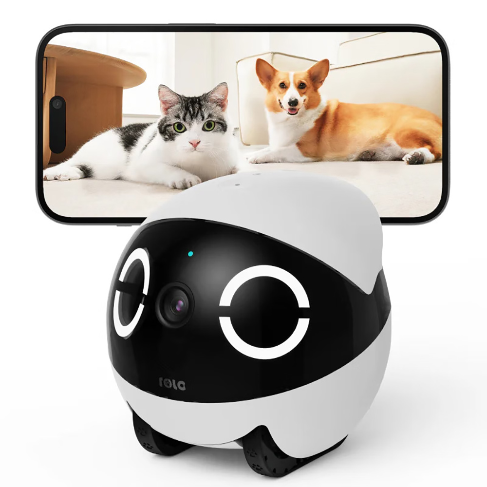 Haustier-Sicherheitsroboter mi – Home Security Robot Bewertung und Preis